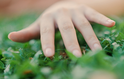 Hand touching grass